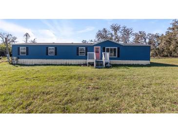 Charming blue home featuring a spacious front yard and a vibrant pink front door at 8428 Highland Pines Ct, Plant City, FL 33565