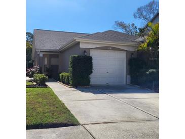 Charming single-story home with a well-maintained lawn and a two-car garage at 11638 Hidden Hollow Cir, Tampa, FL 33635