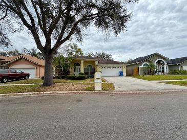 Charming single-story home with a well-maintained lawn, complemented by a classic mailbox and two-car garage at 3616 Cypress Meadows Rd, Tampa, FL 33624