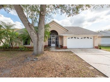 Charming single-story home featuring a manicured lawn, two-car garage, and mature trees at 9415 Pebble Glen Ave, Tampa, FL 33647