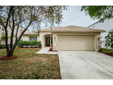Charming single-story home featuring a manicured front yard, mature tree, and a two-car garage at 18186 Sandy Pointe Dr, Tampa, FL 33647