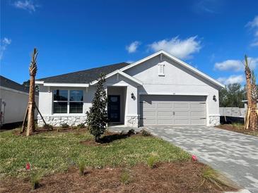 Charming single-story home with a well-manicured lawn and paved driveway at 17048 James Trl, Parrish, FL 34219