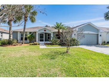 Charming single-story home with well-maintained lawn, mature landscaping, and two-car garage at 10237 Collar Dr, San Antonio, FL 33576