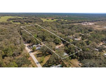 Large parcel of land surrounded by trees and greenery, ready for development in a serene setting at 20238 Shetland Ln, Spring Hill, FL 34610