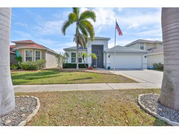 Charming home with well-maintained landscaping, palm trees, and an American flag at 5124 Clover Mist Dr, Apollo Beach, FL 33572