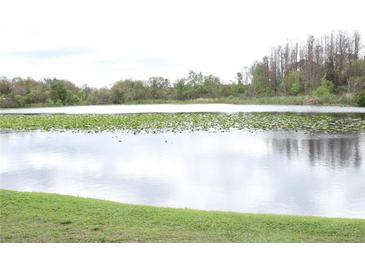 Scenic view of the pond with lily pads with a lush, green shoreline and trees in the background at 4036 Cortez Dr # A, Tampa, FL 33614
