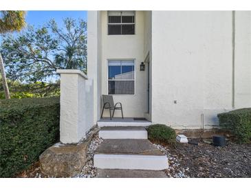 Inviting front entrance with well-maintained landscaping and a cozy chair at 4302 La Mora Ct, Tampa, FL 33611