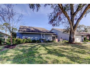 Charming single-story home with blue siding, lush lawn, and mature trees creating a serene curb appeal at 4617 Cloverlawn Dr, Tampa, FL 33624