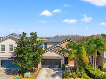 Inviting home boasts a well-maintained lawn, a spacious garage, and mature palm trees at 18855 Hampstead Heath Ct, Land O Lakes, FL 34638