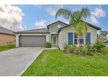 Charming single-story home with a well-manicured lawn, two-car garage, and lovely landscaping at 12928 Wildflower Meadow Dr, Riverview, FL 33579