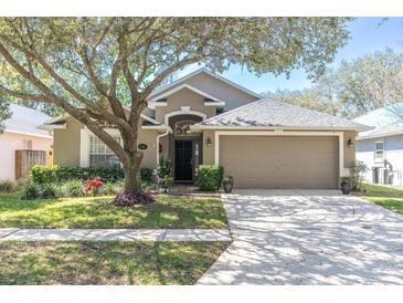 Charming home featuring a well-manicured lawn, mature tree, and a two-car garage at 18908 Nest Fern Cir, Tampa, FL 33647