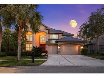 Stunning two-story home showcasing a three-car garage, lush landscaping, and an inviting red front door, illuminated by moonlight at 10436 Greendale Dr, Tampa, FL 33626