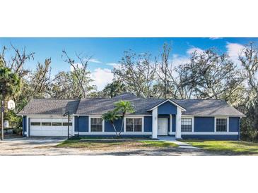 Charming single-story home with attached garage, basketball hoop, and well-manicured landscaping at 11335 Mcmullen Loop, Riverview, FL 33569