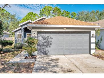 Charming home featuring a gray garage door, landscaped walkway, and a well-maintained exterior in a quiet neighborhood at 7459 Oxford Garden Cir, Apollo Beach, FL 33572