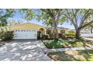 Charming home featuring a manicured lawn, mature trees, and a welcoming two-car garage at 6041 16Th Ne Ln, St Petersburg, FL 33703