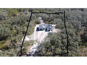 New construction home on a wooded lot featuring a large, private driveway and modern architectural design at 8204 Chimney Rock Dr, Webster, FL 33597