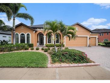 Beautiful single Gathering home featuring a meticulously landscaped lawn and tropical trees at 13305 Fawn Lily Dr, Riverview, FL 33579