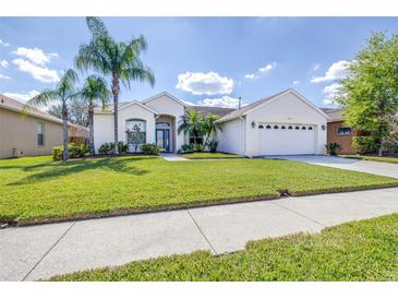 Charming single-story home with a well-manicured lawn, complemented by mature palm trees at 4313 Brooke Dr, Valrico, FL 33594
