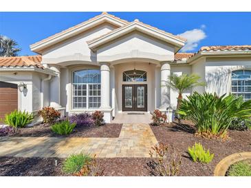 Inviting front entrance with double doors, stone walkway, and lush landscaping at 3819 Brooksworth Ave, Tarpon Springs, FL 34688