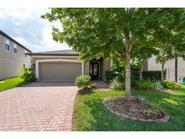 Charming home featuring a well-maintained lawn, brick driveway, and a two-car garage at 10428 Arbor Groves Pl, Riverview, FL 33578