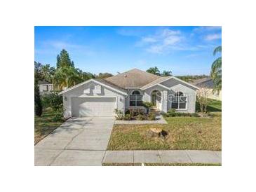 Charming single-story home with a two-car garage, manicured lawn, and mature landscaping at 22516 Magnolia Trace Blvd, Lutz, FL 33549