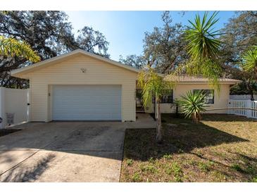 Charming single-story home featuring a well-maintained yard, attached garage, and neutral exterior paint at 12005 Wren Ct, New Port Richey, FL 34654