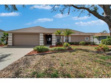 Charming single-story home featuring a well-manicured lawn and a two-car garage at 1405 Queensbury Ave, Valrico, FL 33596