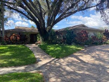 Charming single-story home with mature landscaping, brick driveway, and grand shade tree at 13304 Meadowwood Ct, Tampa, FL 33618