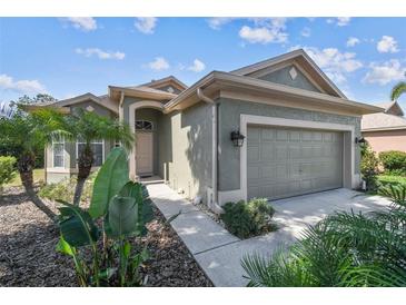 Charming single-story home with a two-car garage, and tropical landscaping creating an inviting curb appeal at 4410 Sawgrass Dr, Palm Harbor, FL 34685