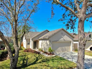Charming single-story home boasts a well-maintained lawn and a two-car garage at 7853 Bristol Park Dr, Apollo Beach, FL 33572