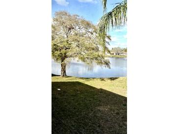 Scenic water view from the property showcasing a tranquil lake surrounded by lush greenery and neighborhood homes at 1020 Bowsprit Ln # X, Holiday, FL 34691