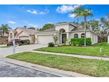 Charming single-Gathering home with a well-manicured lawn, attached garage, and inviting curb appeal at 31123 Stone Arch Ave, Wesley Chapel, FL 33545