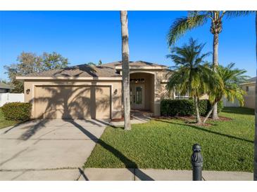 Charming single-story home featuring a well-manicured lawn, tropical landscaping and a two-car garage at 8651 Ardenwood Ct, Trinity, FL 34655