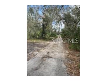 View of a dirt driveway leading to a wooded property with mature trees at 11616 Bullfrog Creek Rd, Gibsonton, FL 33534