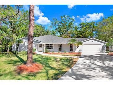 Charming single-story home with a well-manicured lawn, long driveway, and an attached two-car garage at 19531 Deer Lake Rd, Lutz, FL 33548