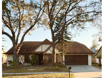 Charming two-story home with a well-maintained front yard and mature trees at 15013 Redcliff Dr, Tampa, FL 33625