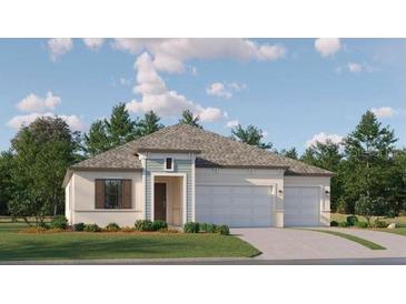 Charming single-story home featuring a symmetrical design and a well-maintained lawn at 9640 Runaway Breeze Dr, Land O Lakes, FL 34637