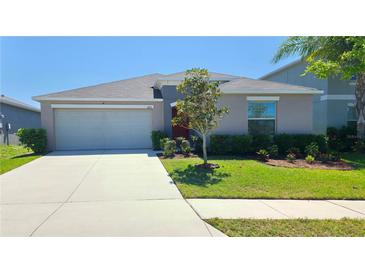 Charming single-story home featuring a two car garage, well-maintained lawn, and a beautifully landscaped front yard at 10115 Paradise Fish Dr, Riverview, FL 33578