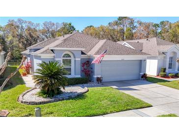 Charming single-story home with a well-manicured lawn, tidy landscaping and an attached two-car garage at 5237 Gato Del Sol Cir, Wesley Chapel, FL 33544