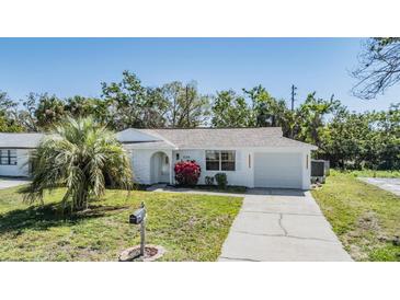 Charming single-story home with a well-manicured lawn, palm tree, and a driveway leading to an attached garage at 6214 Westport Dr, Port Richey, FL 34668