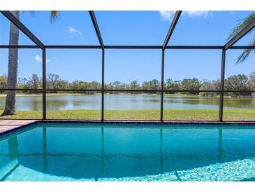 Screened-in pool with scenic lake view, offering a serene outdoor living space at 8640 Chadwick Dr, Tampa, FL 33635