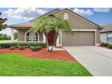 Inviting home featuring a two-car garage, tidy landscaping and a red front door at 30142 Sotogrande Loop, Wesley Chapel, FL 33543