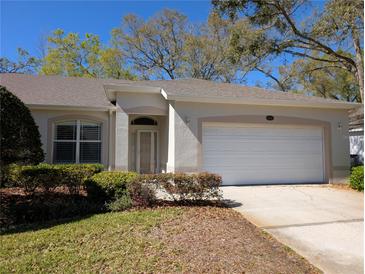 Charming single-story home featuring a 2-car garage and manicured landscaping at 8530 Alexandra Arbor Ln, Temple Terrace, FL 33637