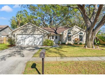 Charming home showcasing a well-manicured lawn, mature trees, and a welcoming two-car garage at 7440 Mint Julep Dr, Riverview, FL 33578
