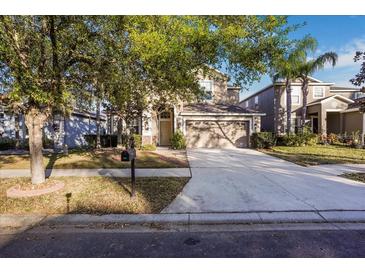 Charming two-story home featuring a well-manicured lawn and a spacious two-car garage at 20427 Carolina Cherry Ct, Tampa, FL 33647