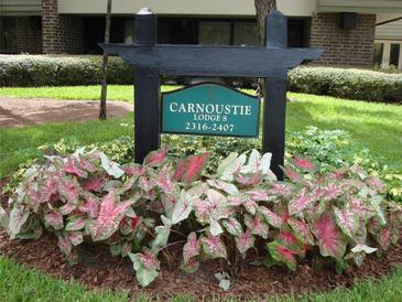 Community sign for Carnoustie Lodge with lush landscaping and well-maintained grounds at 36750 Us Highway 19 N # 3-210, Palm Harbor, FL 34684