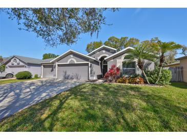 Charming home featuring a well-manicured lawn, mature landscaping, and a three-car garage at 2516 Allwood Ave, Valrico, FL 33596