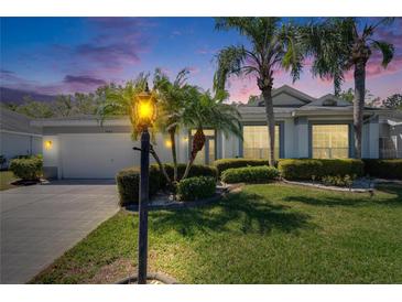 Charming home featuring a well-manicured lawn, mature palm trees and a welcoming, lit lamp post at 1034 Mcdaniel St # 1034, Sun City Center, FL 33573