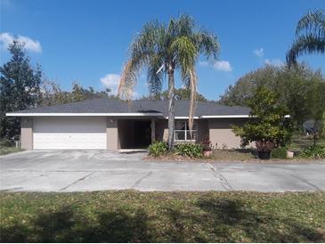 Charming single-story home featuring a large front yard with lush landscaping and a two-car garage at 11716 Cr 672 Hwy, Riverview, FL 33579