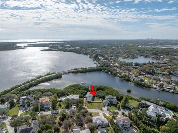 Stunning aerial view of waterfront property featuring lush greenery and scenic water views at 734 Weedon Ne Dr, St Petersburg, FL 33702